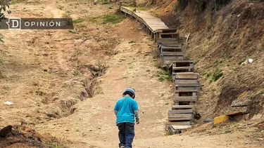El Desconcierto | 27856 imagen de un nino solo subiendo una escalera.webp
