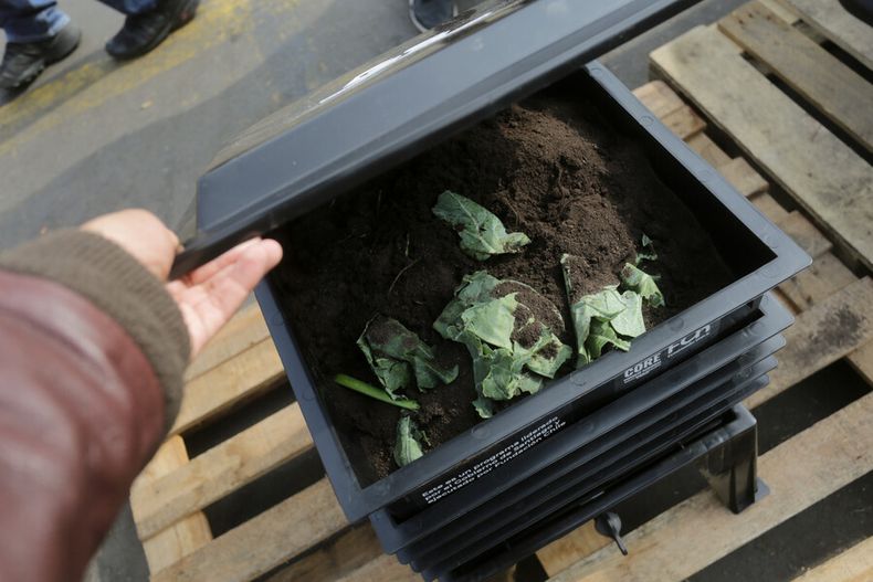 1546 residuos organicos.jpg