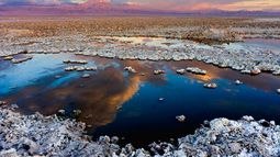 CDE se va en picada contra tres mineras en defensa del agua subterránea en Salar de Atacama