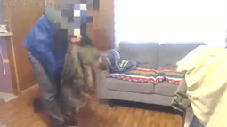 Nuevo grave caso de maltrato animal en redes: Youtuber adolescente se grabó golpeando a sus gatos hasta matarlos