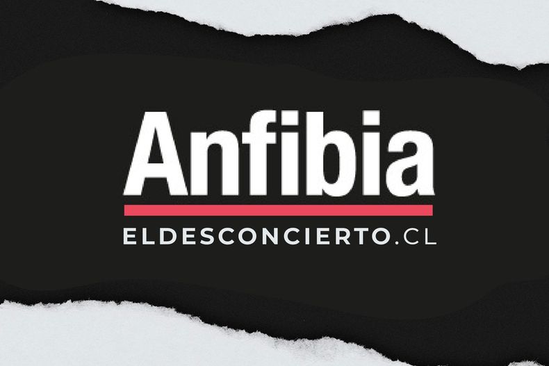 anfibia y ED_Mesa de trabajo 1.jpg