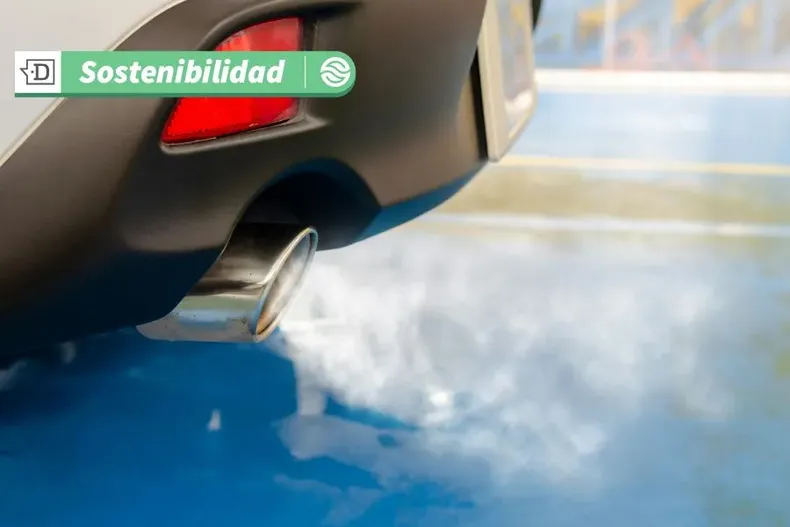 14107 diseno sin titulo 2025 04 09t171150.webp