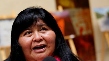 Nuyado y otros políticos emplazan a Ubilla a entregar evidencia de supuesta vinculación de incendios con la causa mapuche