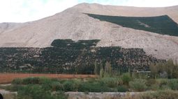 Desbalance entre agroexportación y ecosistemas nativos: la negligencia del MINAGRI
