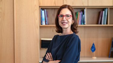 Queremos ser socios de Chile en innovación y sostenibilidad, afirmó Gintersdorfer.