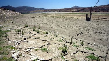 Activistas que luchan contra empresas que usurpan el agua de Petorca siguen viviendo inseguros ante amenazas de muerte
