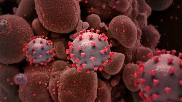 China aprueba uso de un medicamento contra el VIH para tratamientos anticovid