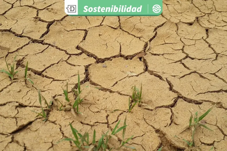 20839 diseno sin titulo 2025 08 14t173552.webp