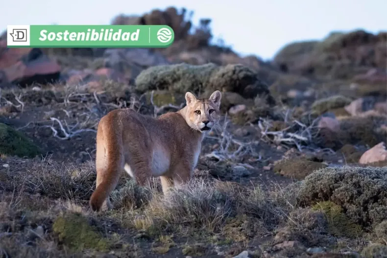 18699 diseno sin titulo 2025 07 07t114520.webp