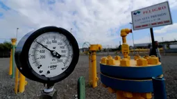 Chile le tiende una mano a la Argentina de Milei: Suministra gas natural para afrontar extrema ola de calor