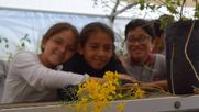 chile y uruguay lanzan la guia de educacion ambiental por crisis climatica
