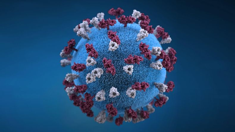 el coronavirus no esta vivo ni muerto.jpg