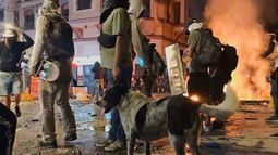 La marcha por el perro Vaquita en Antofagasta
