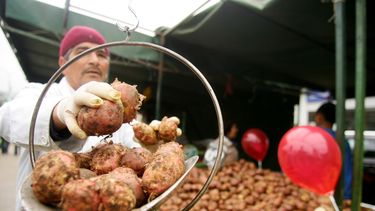 El IPC más bajo en los últimos 3 años: Inflación en Chile retrocede y UF disminuirá en enero