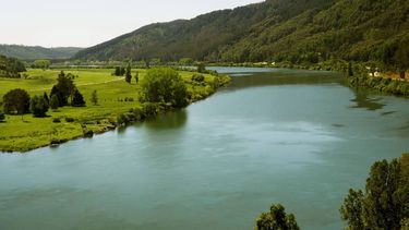 El Desconcierto | cuenca rio valdivia.jpg