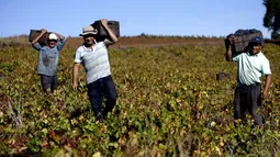 Chile creció el 2024 al 2,4%: Banco Central revela que Imacec de diciembre fue del 6,6%