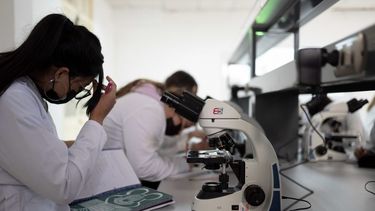 TENS, una carrera ultranecesaria y con un protagonismo en auge tras la pandemia
