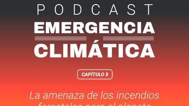 La amenaza de los incendios forestales para el planeta: Escucha un nuevo capítulo de Emergencia Climática, el podcast de El Desconcierto