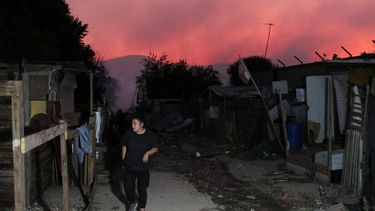 Limache: Ante amenazante incendio forestal ordenan evacuación de Las Mellizas