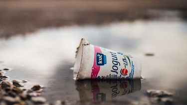 El Desconcierto | BANNER IMAGE yogurt cup 1200x450 1.jpeg