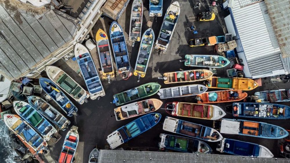 Hay que postular: Disponen $150 millones para Fiestas de San Pedro de pescadores artesanal