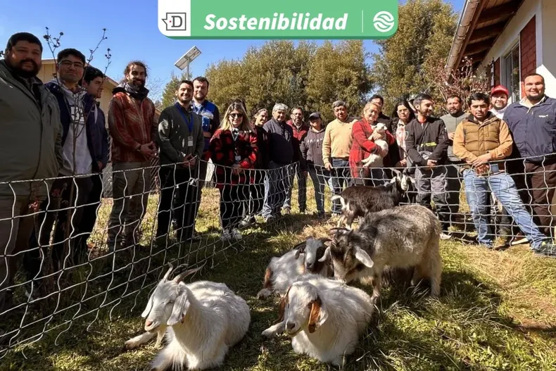 21023 diseno sin titulo 2025 08 19t124512.webp