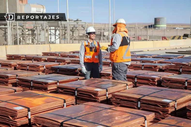 17656 diseno sin titulo 2025 06 18t122730.webp