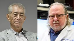Investigadores sobre la inmunoterapia contra el cáncer obtienen Nobel de Medicina 2018