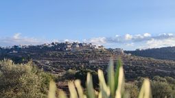 Imagen de campo en Palestina / Crédito: Leire Lakarra Imagen de campo en Palestina / Crédito: Leire Lakarra