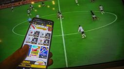 Nueva ley de plataformas: Apuestas online pagarían tasa anual de $64 millones para operar