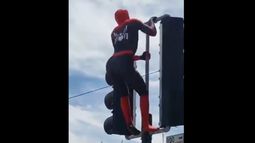 VIDEO| Sensual Spiderman made in the USA aparece en protestas en Estados Unidos