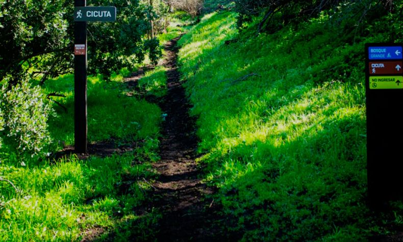 Parque Guay Guay de Colina será inaugurado pronto - Página oficial