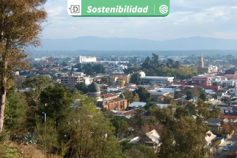 31141 diseno sin titulo 2026 03 12t165719.webp