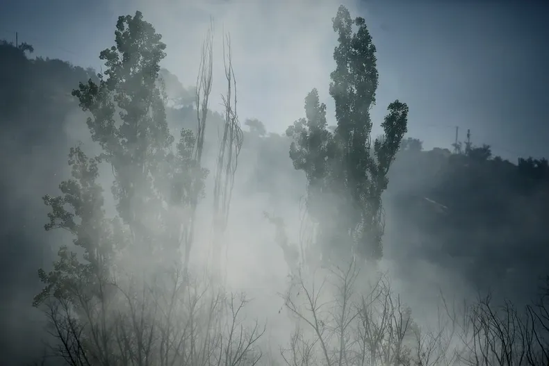 28109 a uno 1709404.webp