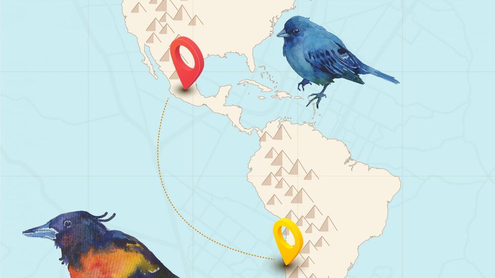Atención niños y niñas: Museo de Bellas Artes ofrece talleres de invierno para crear junto a pares de México