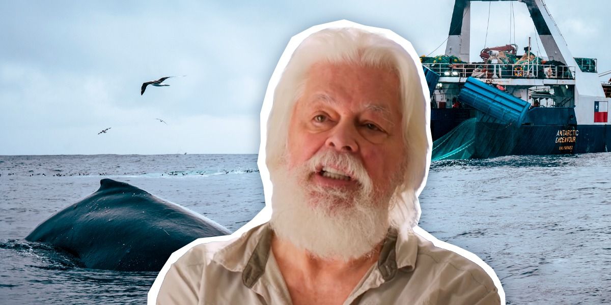 Paul Watson contra la cosecha de krill en la Antártica. Fotos: cedidas.
