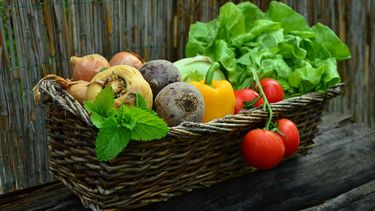 Mercado Ecológico de Santiago: Autogestionando la salud alimenticia