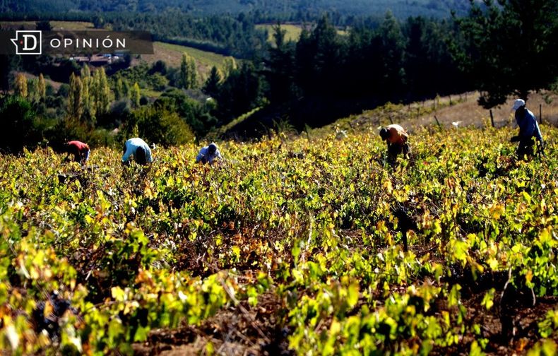 8156 personas trabajando en el campo.jpg
