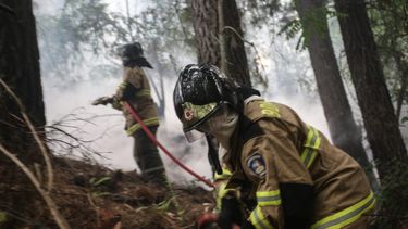 Campaña de 1.200 compañías de bomberos que buscan reunir $1.000 millones a través del SOAP