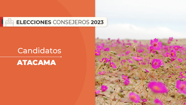 Atacama: Quiénes son los candidatos al Consejo Constitucional en la región
