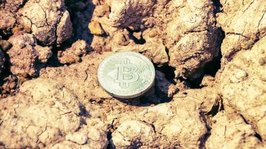 El Desconcierto | bitcoin.jpg