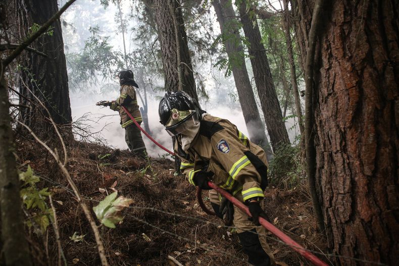 geografo por emergencia forestal es necesario crear discontinuidades en el uso de suelo.jpg