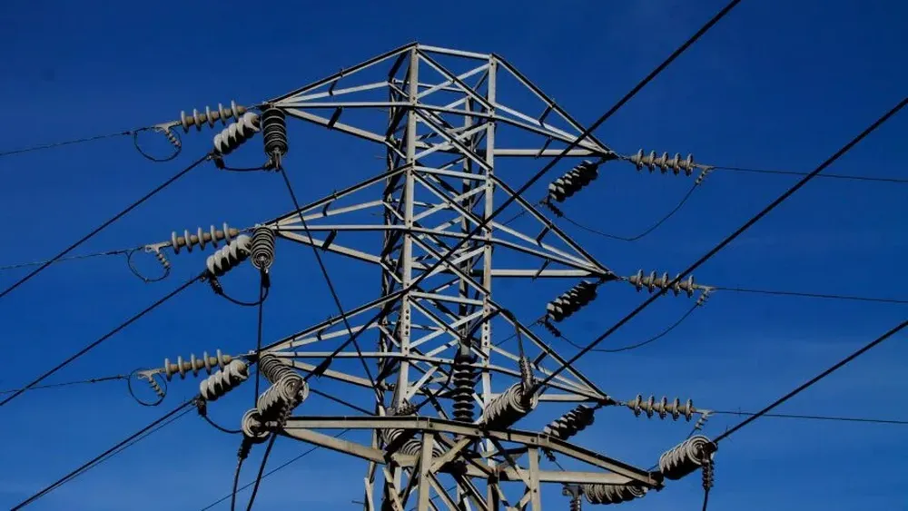 Impidió mantenimiento de línea eléctrica de alta tensión que pasa por su propiedad porque podarían árboles: Corte ordenó dar acceso