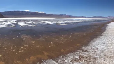 Codelco cierra millonario acuerdo con privada Rio Tinto para explotar Salar de Maricunga, el hogar de miles de flamencos