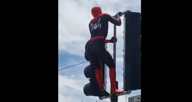 SPIDERMAN 1 1.jpg
