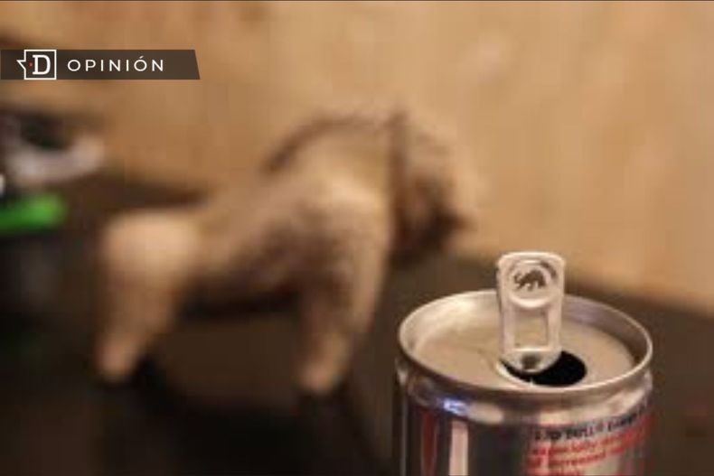 2713 bebida energetica.jpg