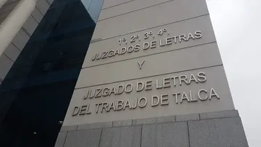 Fue despedido de palabra tras acusación de robo de leña y fue a juicio: Ahora deberán pagarle casi $8 millones