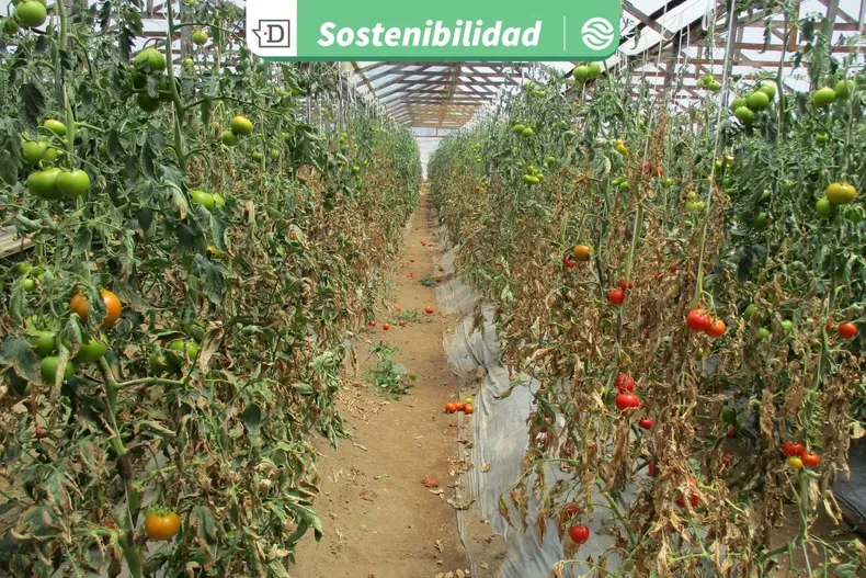 30614 diseno sin titulo 2026 02 27t164315.webp