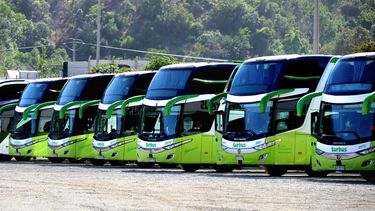 Sernac oficia a Turbus a compensar a pasajeros tras huelga de trabajadores de la empresa