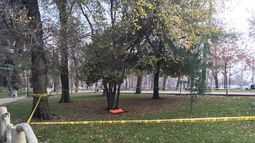 Encuentran feto de 22 semanas en el Parque Forestal